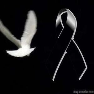 Meet your Posher, Norma